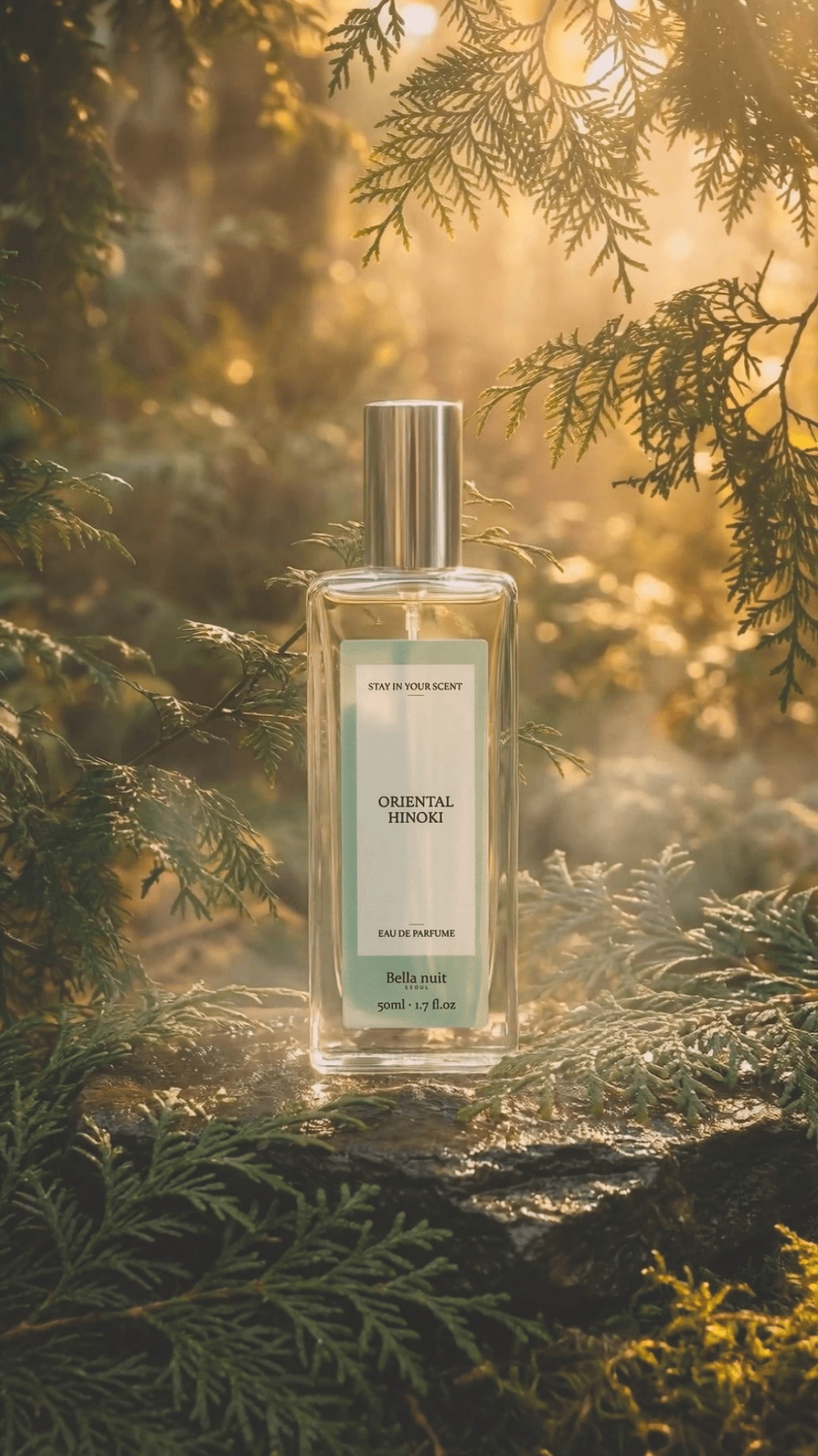 Bella nuit — Oriental Hinoki Perfume